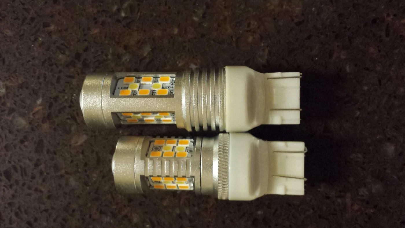 bulbs.webp