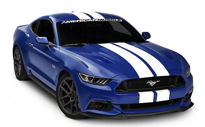 2015mustang gt350 stripes AM.webp