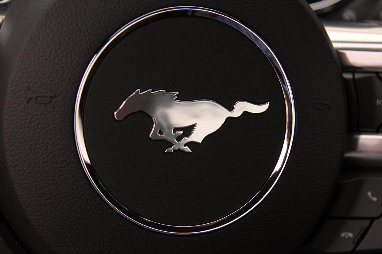Steering_wheel_Horn.webp