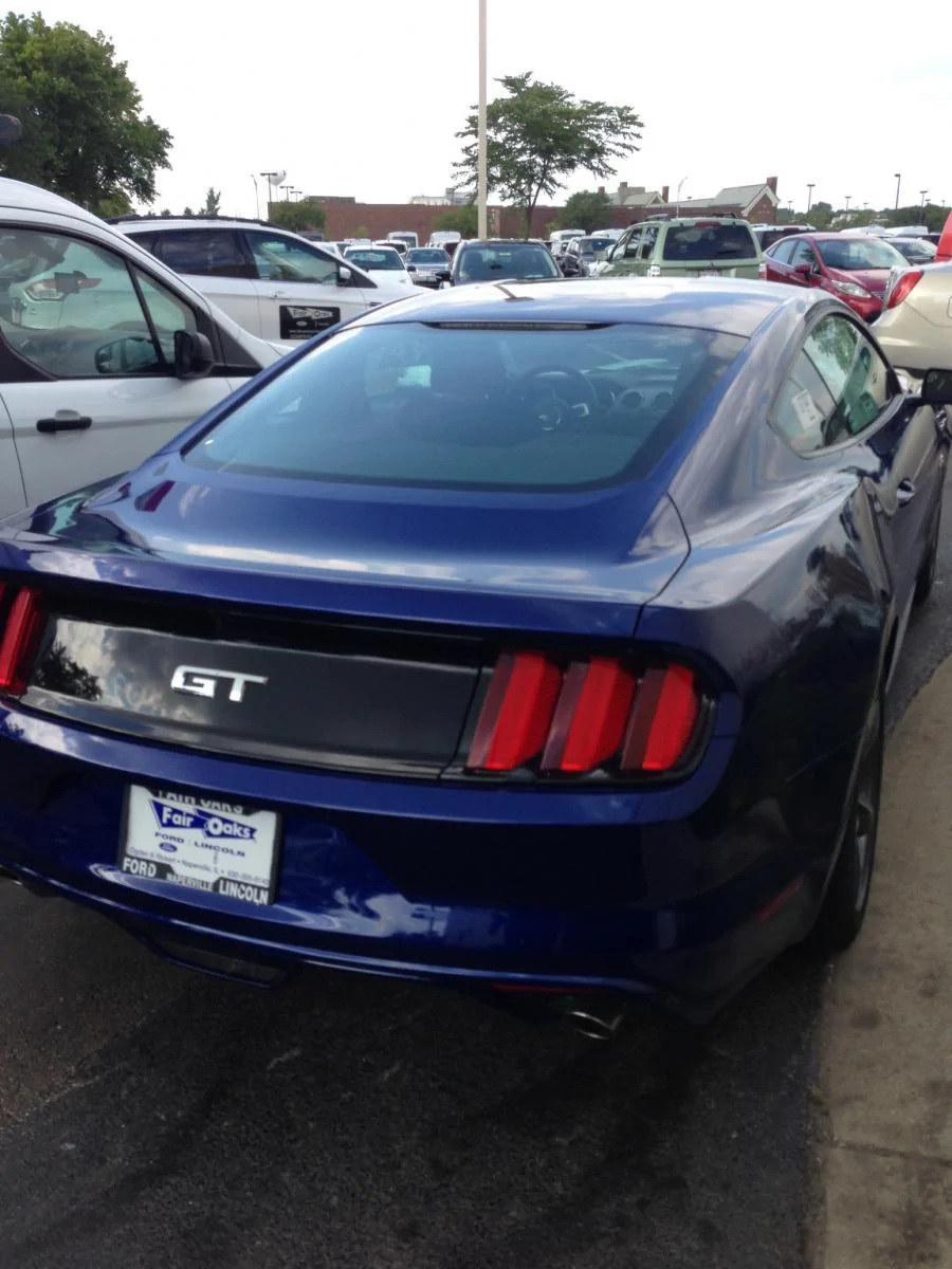 MG_6368[1].webp