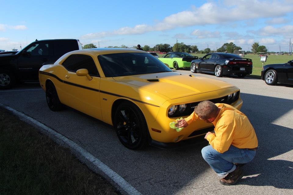 yellowjacket.jpg