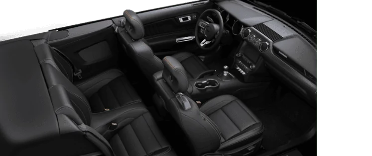 vehicle.webp