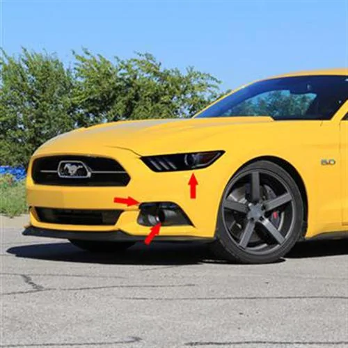 lrs-2015t_3851.webp