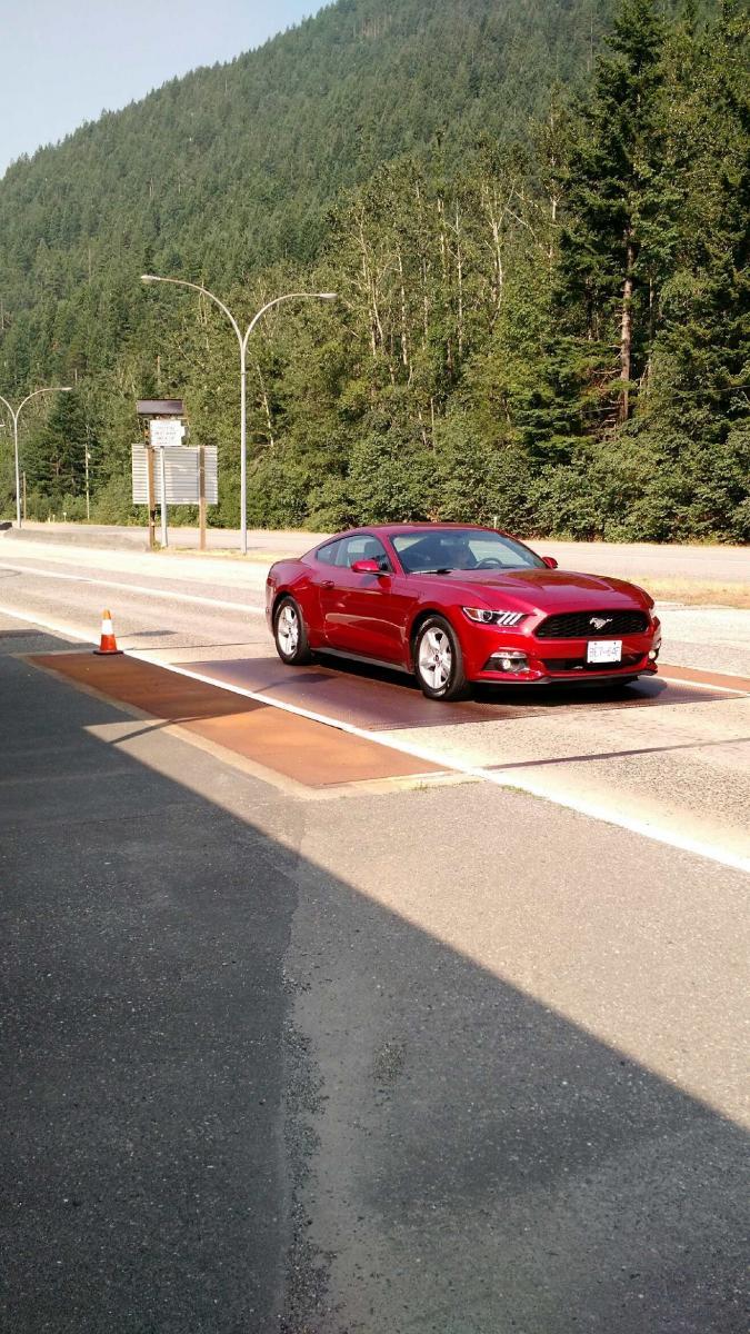 2015 mustang scale.jpg
