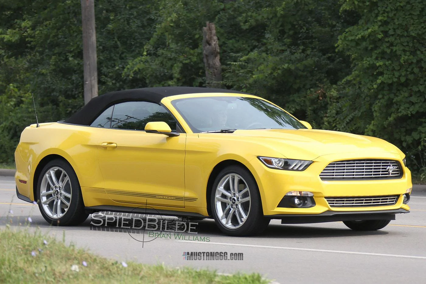 2016 Mustang EcoBoost Pony Package-9.webp