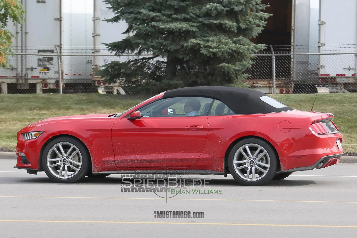 2016 Mustang EcoBoost Pony Package-15.webp