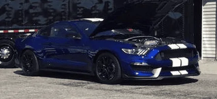 blue white 2.webp