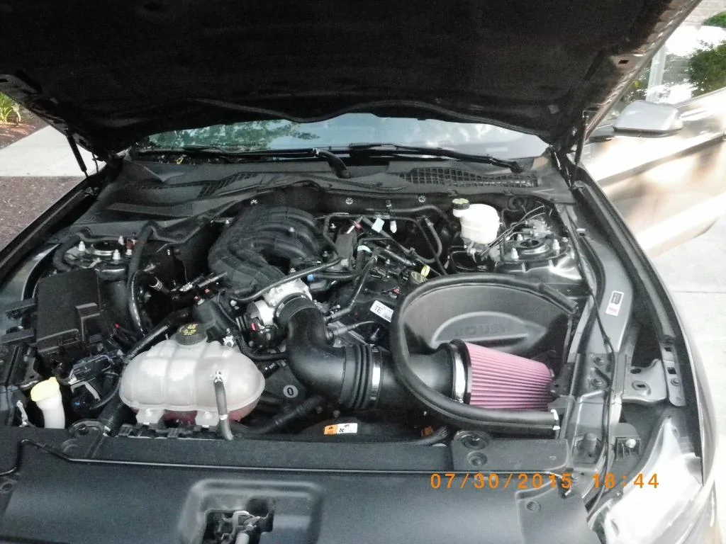 IMGP4708 (1024x768).webp