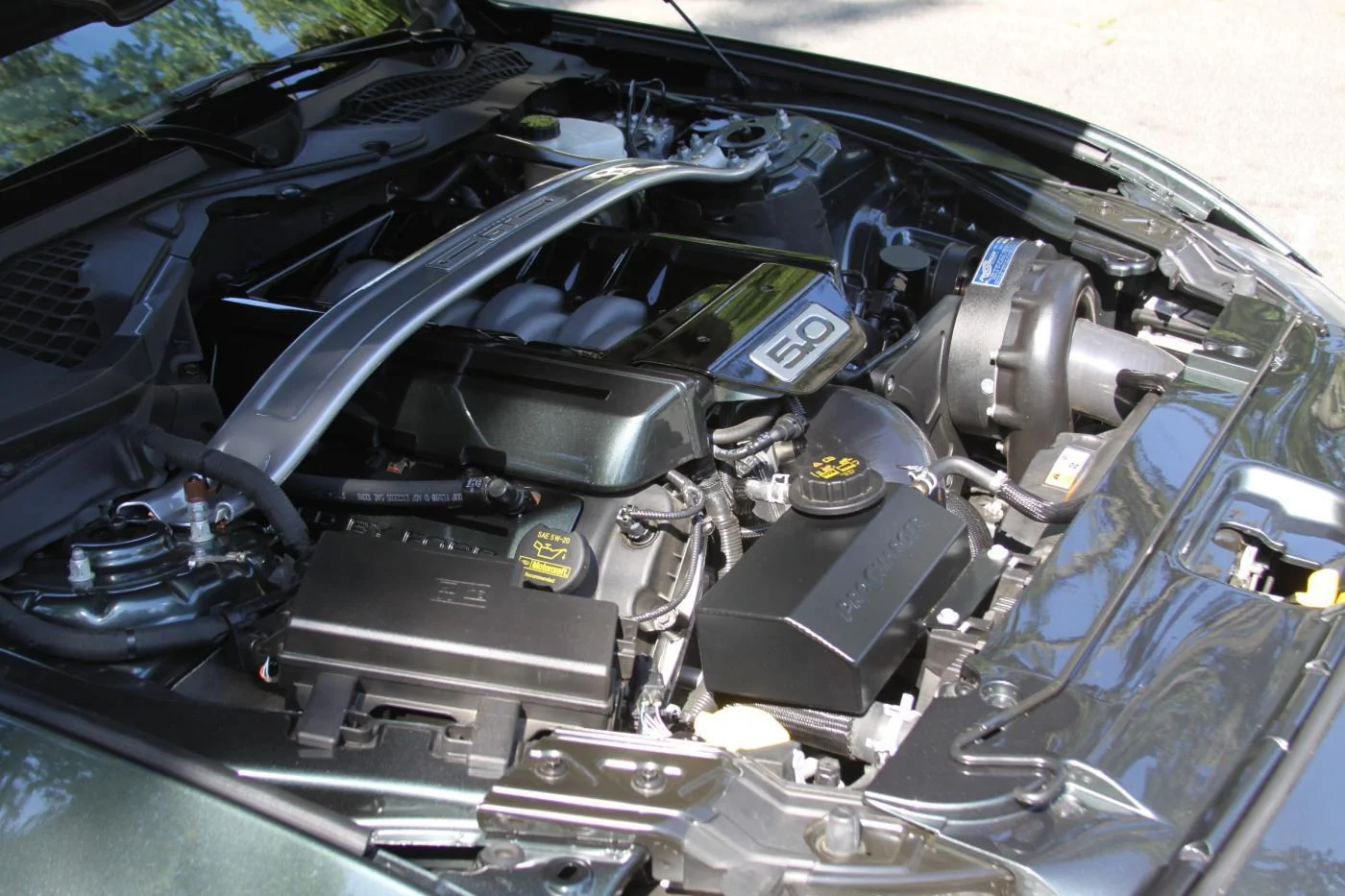 gm4.webp