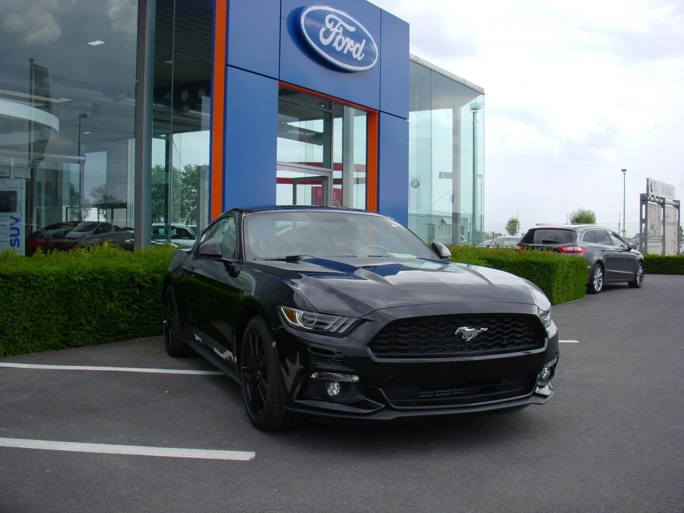 31-07-2015 (5).webp