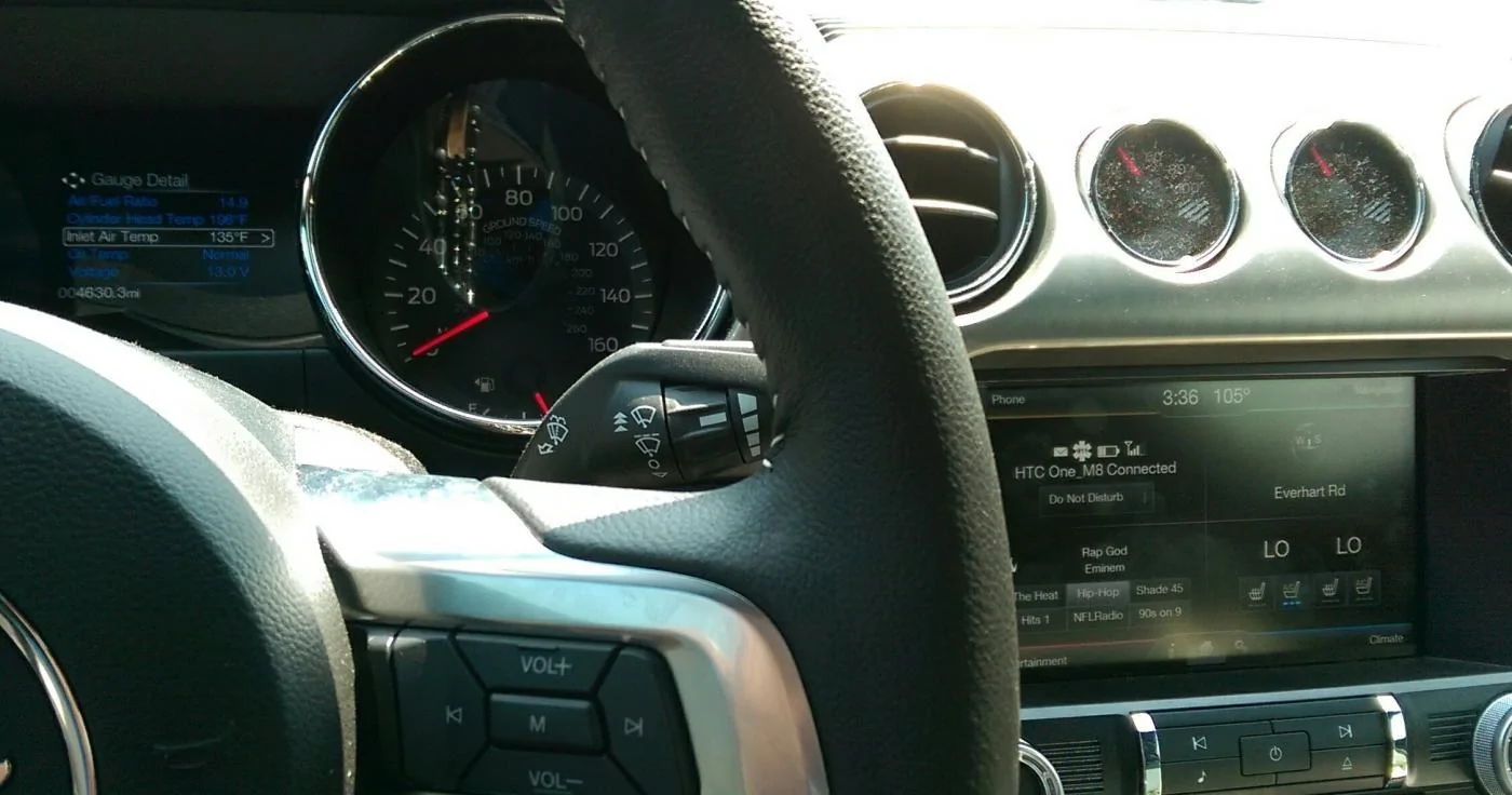 IMAG0235_1.webp