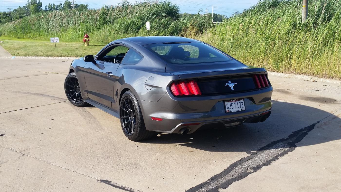 Tireshine4.jpg