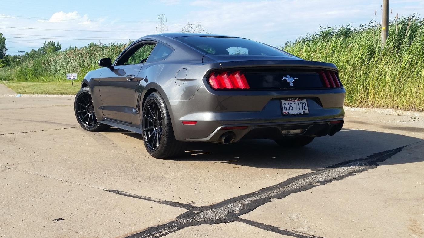 tireshine5.jpg
