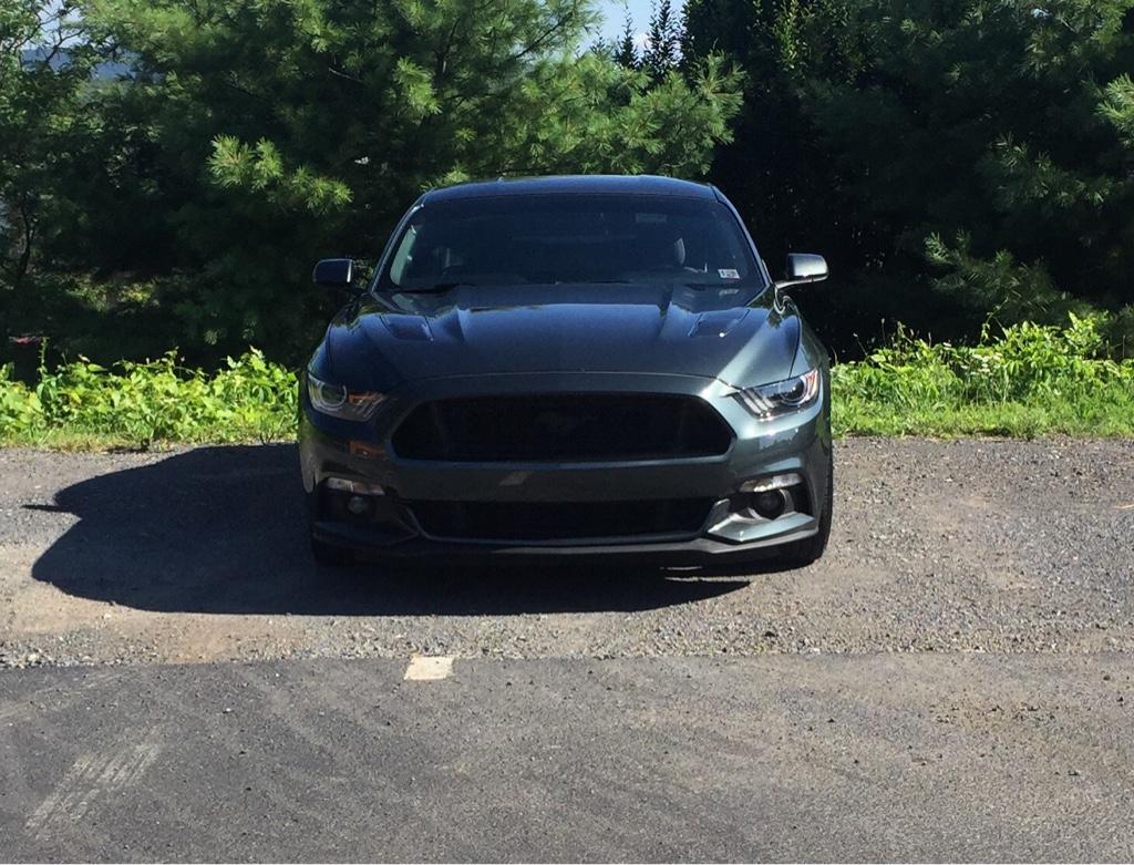ImageUploadedByTapatalk1438437074.810341.jpg