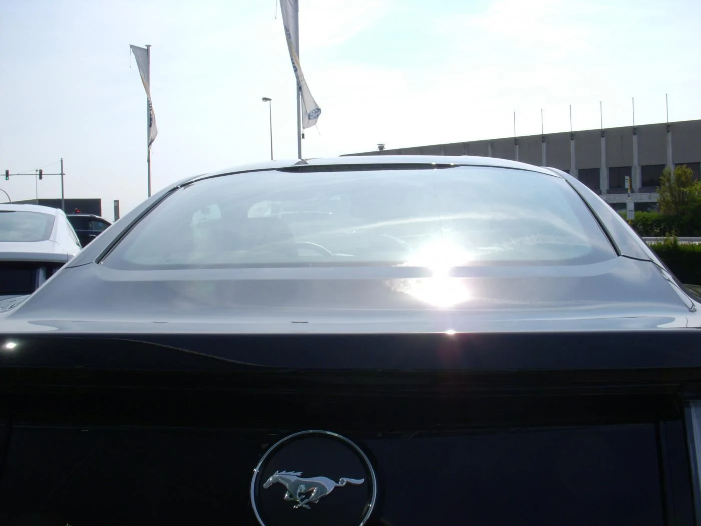 01-08-2015 (14).webp