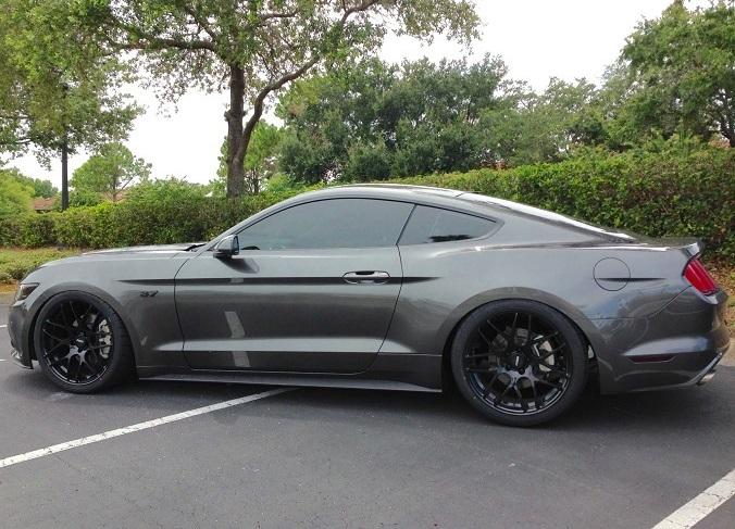 IMG_6655_zpsgosbf03p.jpg