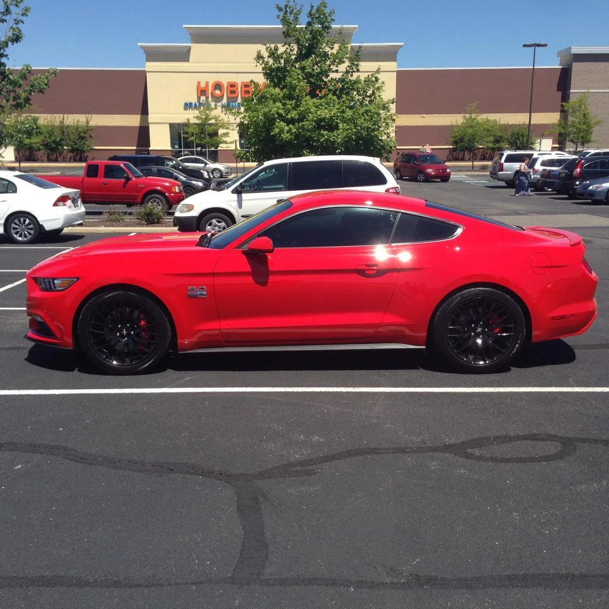 Mustang 5.webp
