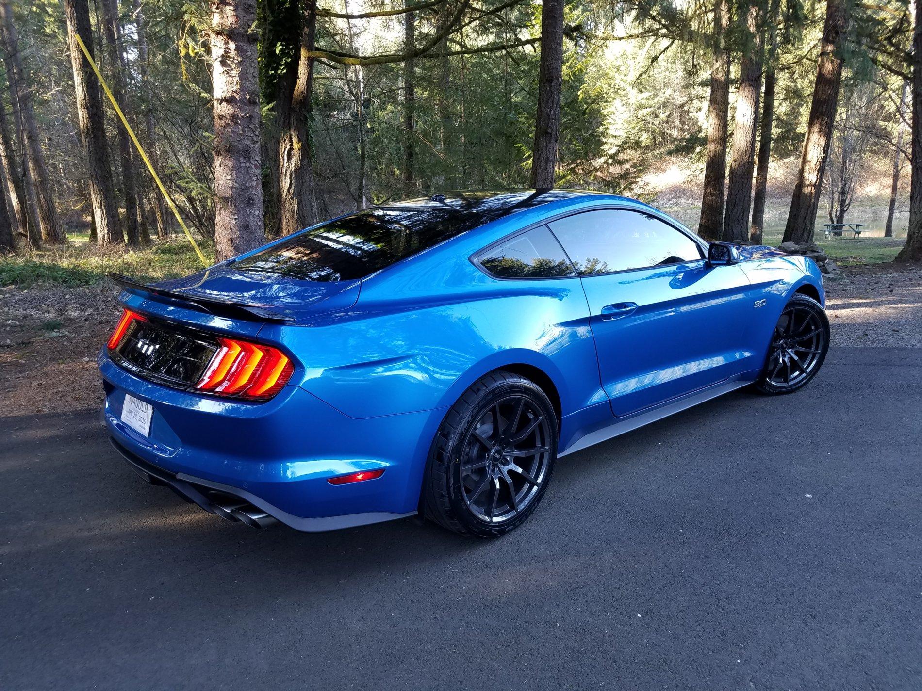 2019 Mustang.jpg
