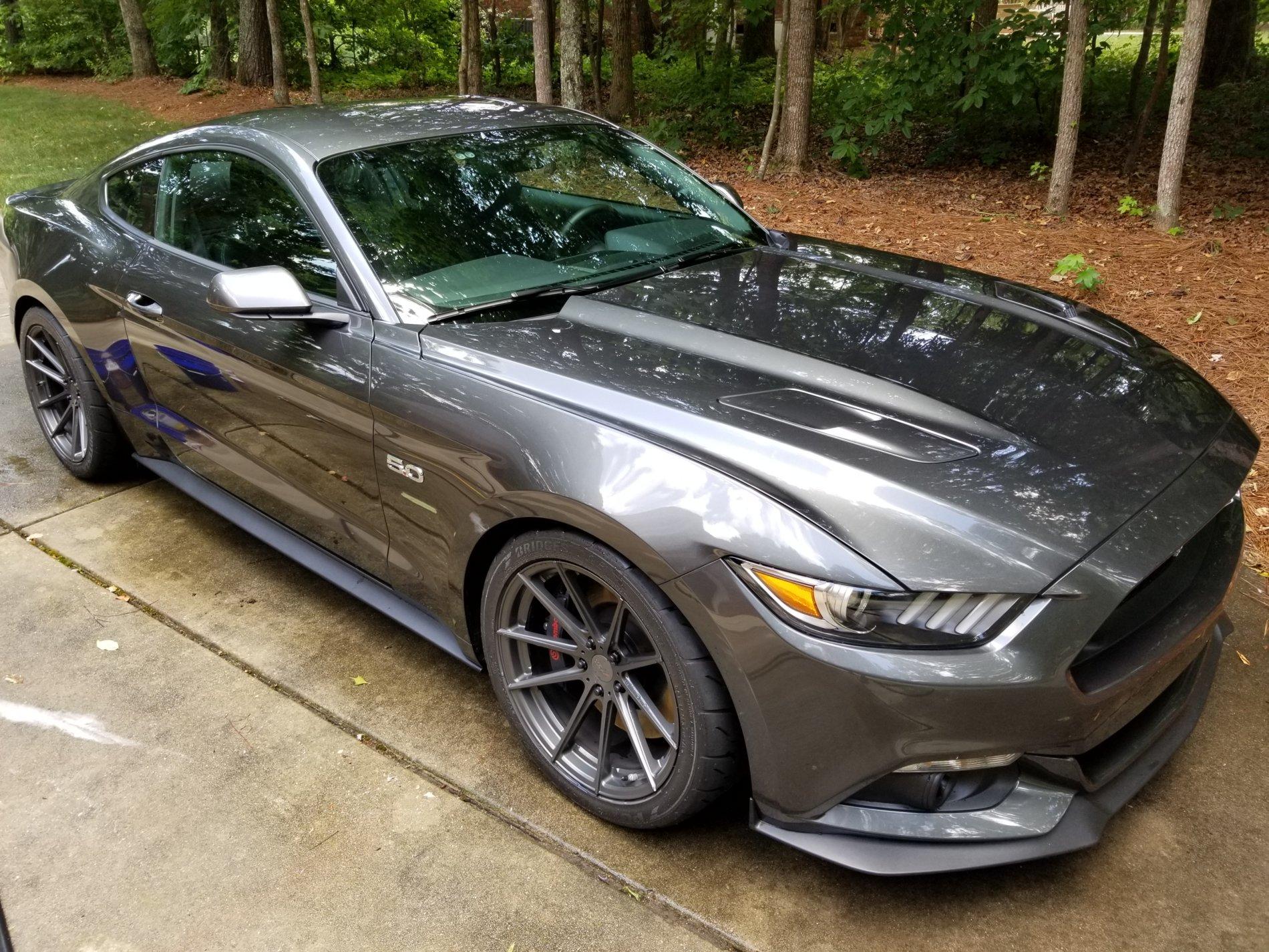 stang9.jpg
