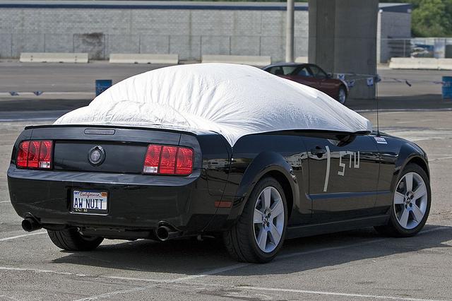 Mustang2006PopTop.jpg
