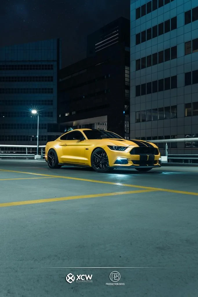 XCW004_PB_MustangYellow-4344x6516.webp