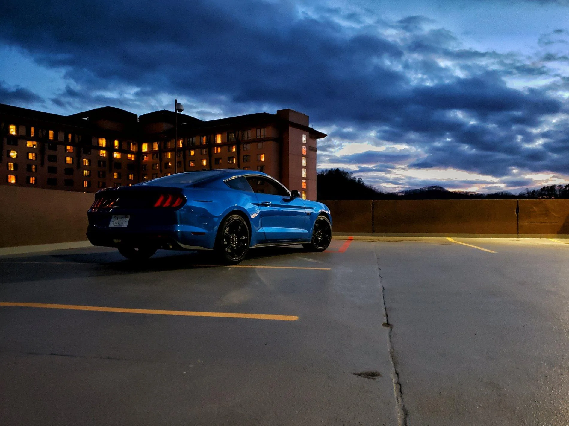 MUSTANG.webp