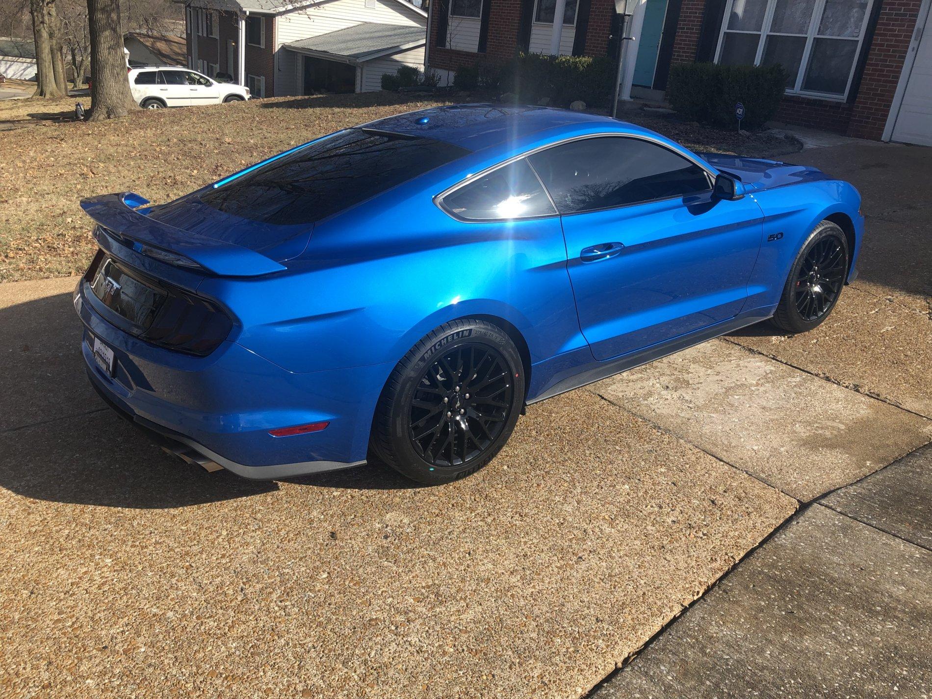 Mustang.jpg