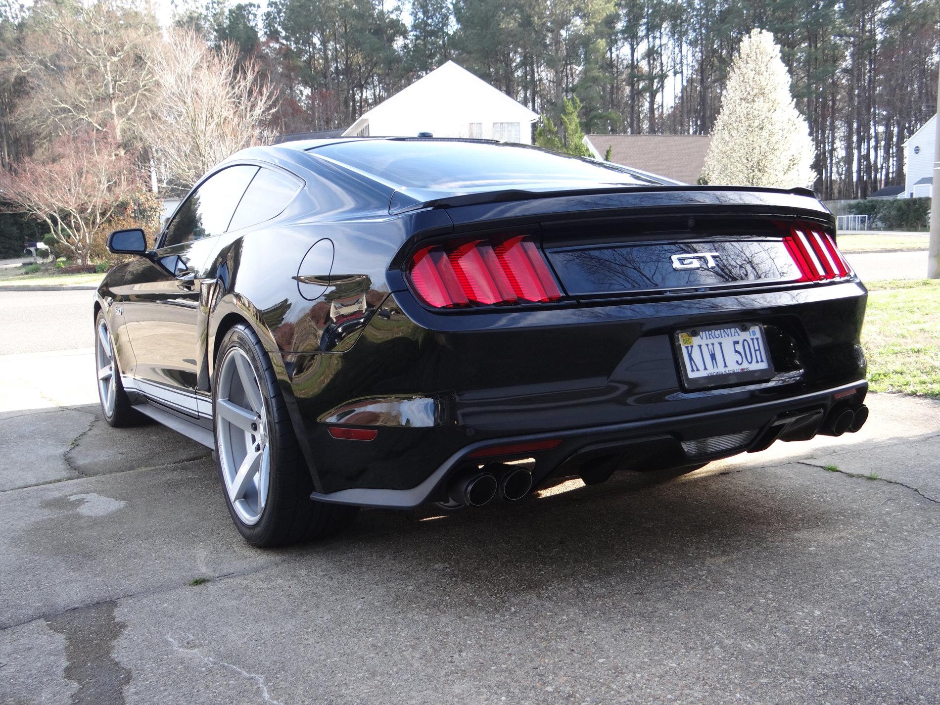 Mustang12.JPG