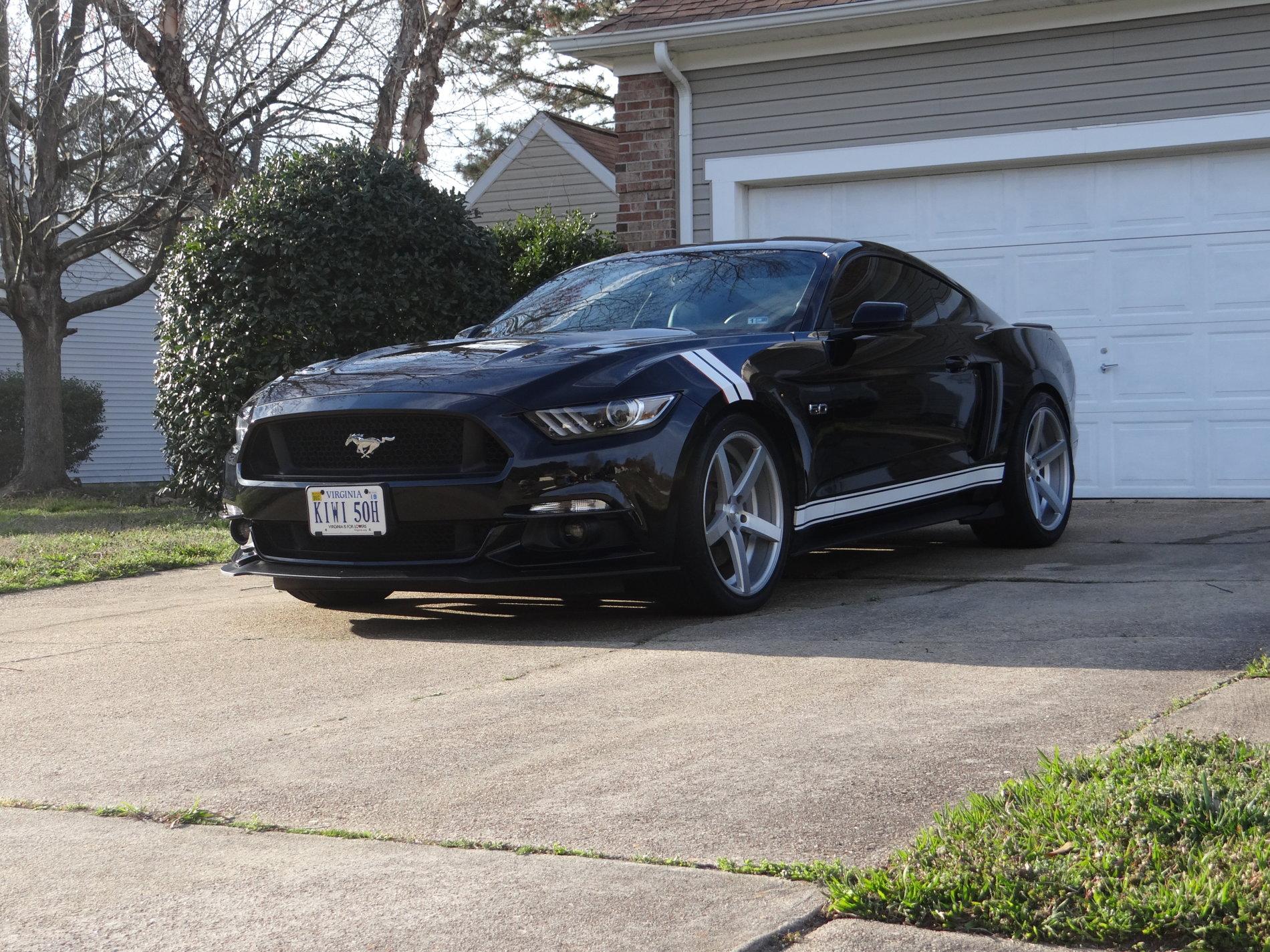 Mustang10.JPG