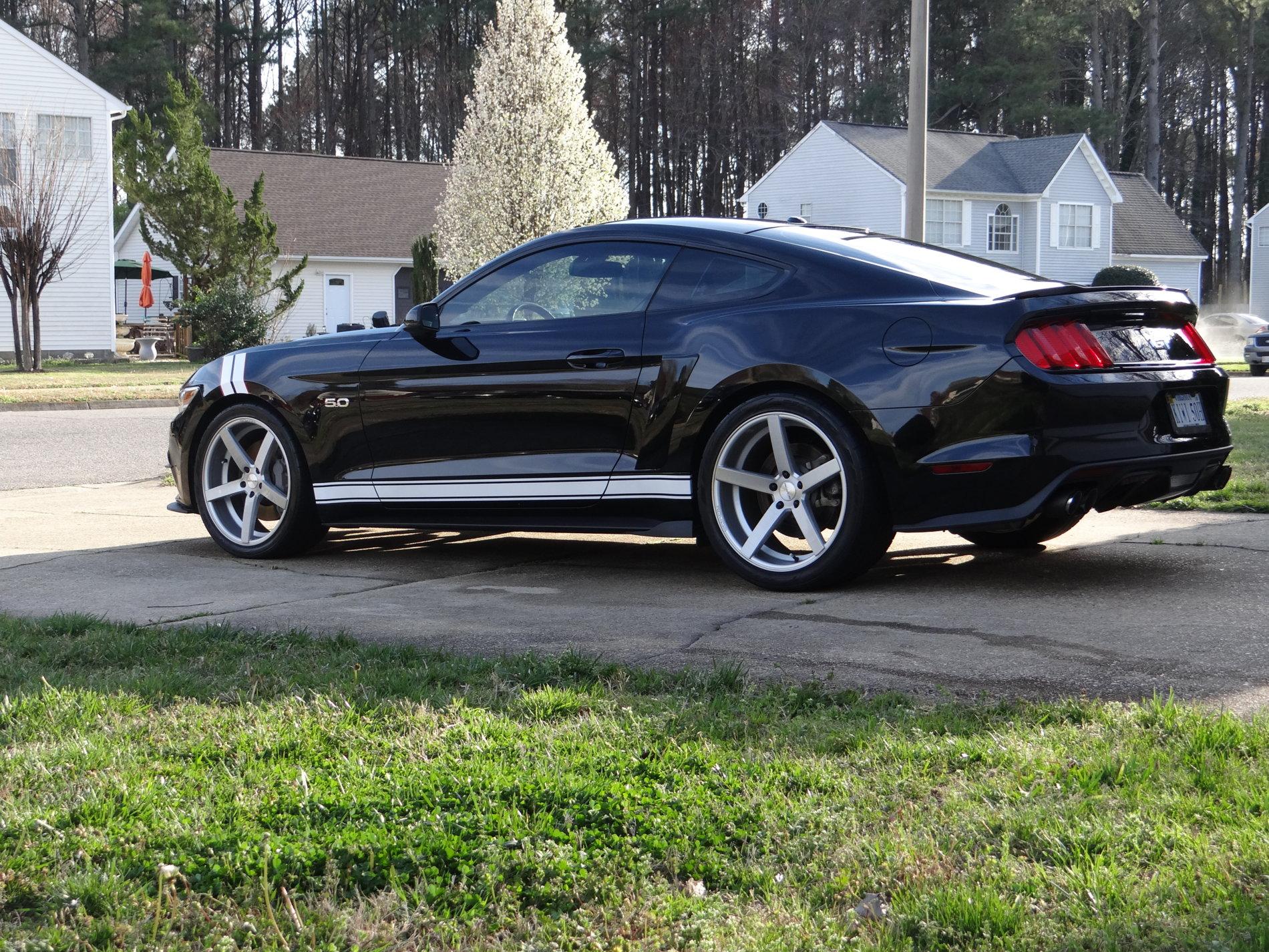 Mustang11.JPG