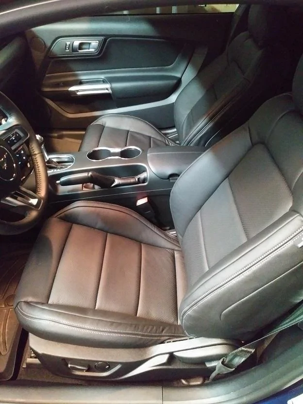 New Seats.webp