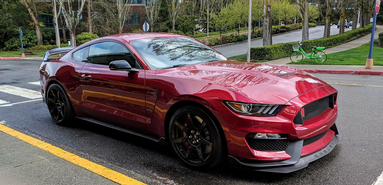 Ruby%202019-04-07%20001-X3.jpg