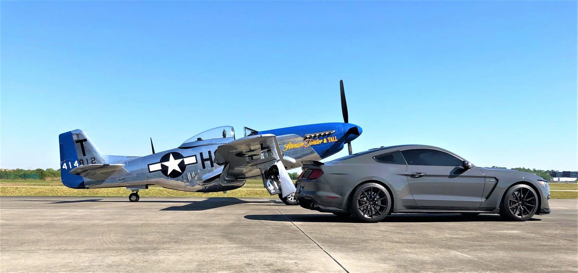 P51SHELBY1.webp