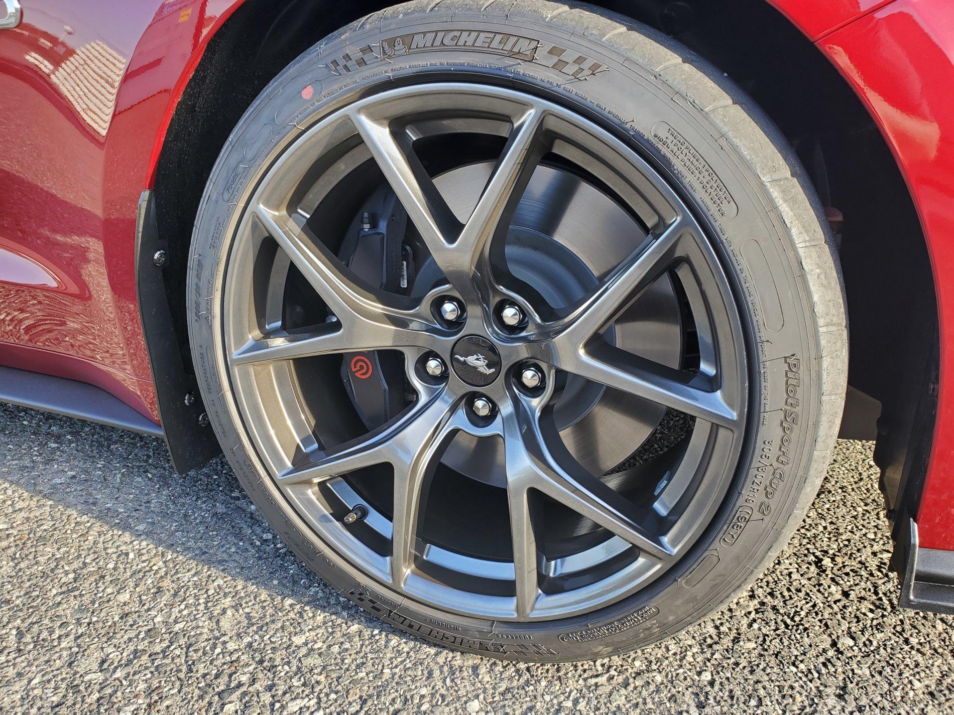 20190410_180125.jpg