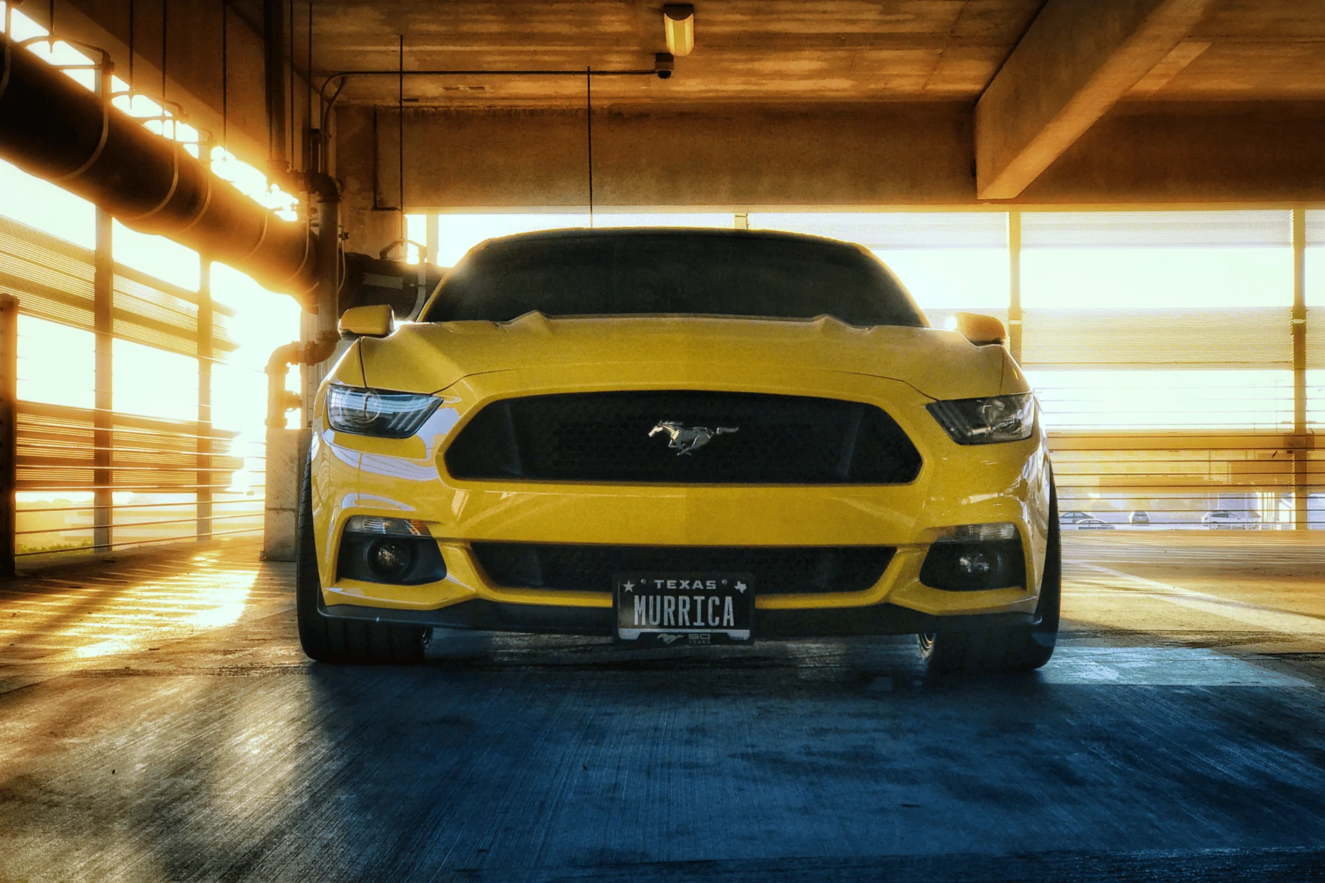 6D38158A-C465-4ECF-A7EE-C98C44440C28.webp