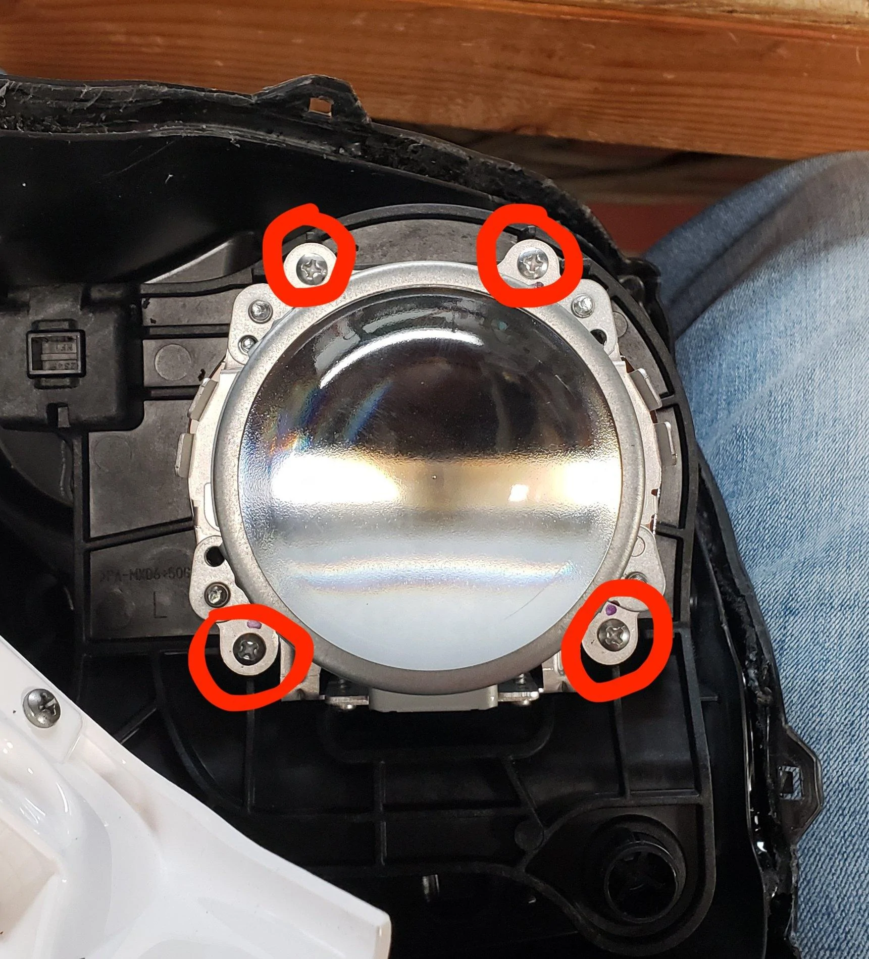 9.webp