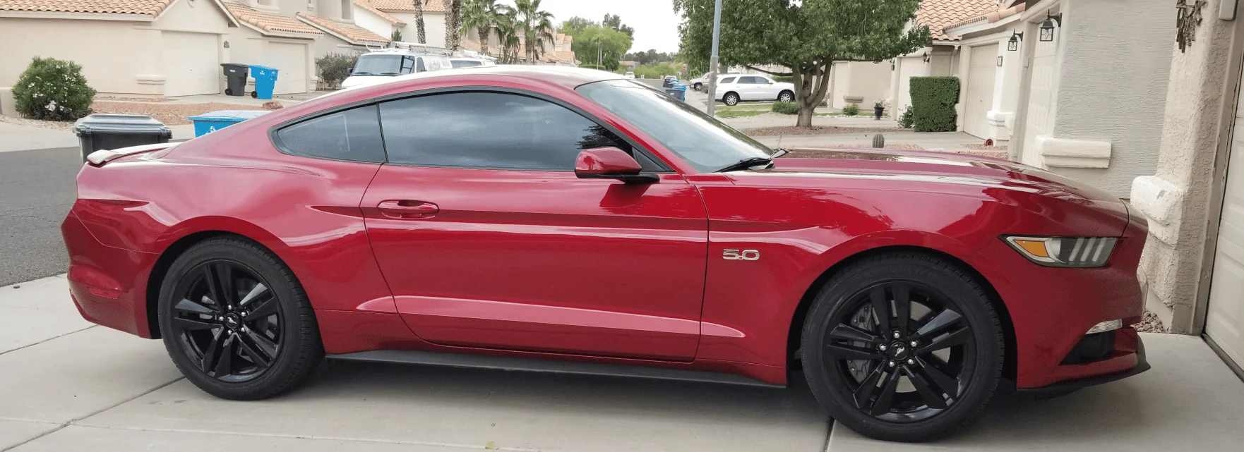 new wheels.webp
