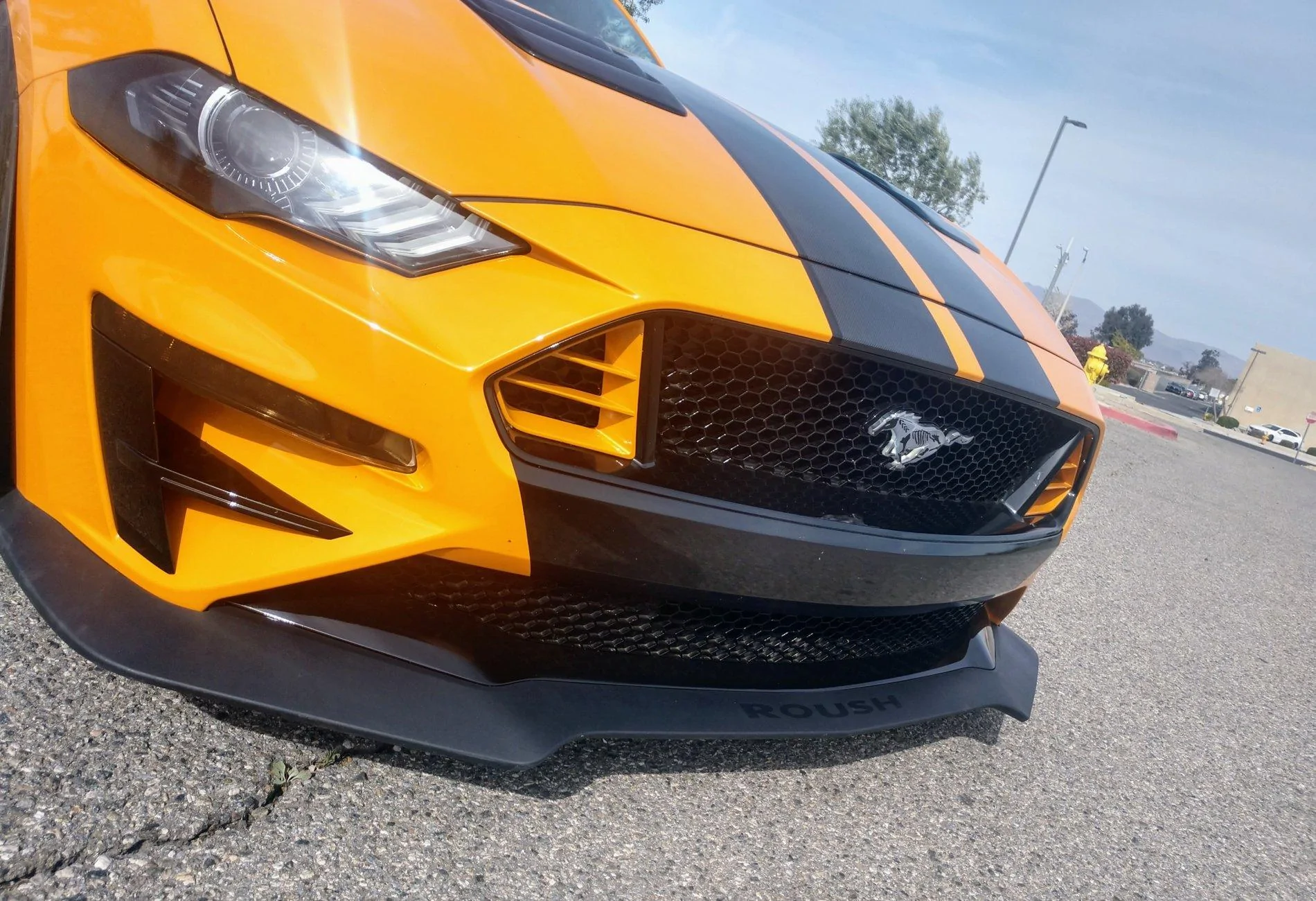 IMG_20190415_161631482_HDR.webp