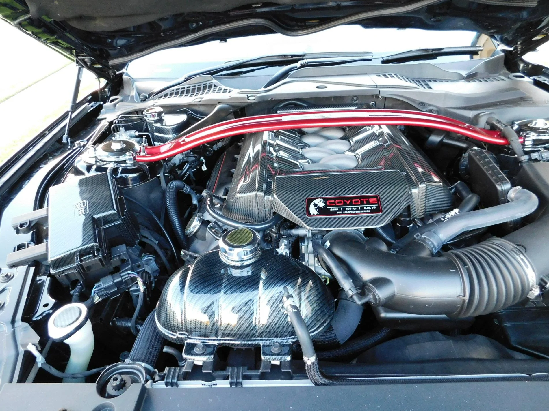 DSCN0502.webp