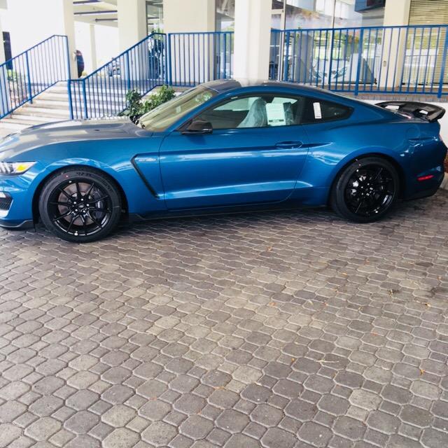 559DACDB-376D-45E8-A2B2-622F5DB178C3.jpeg
