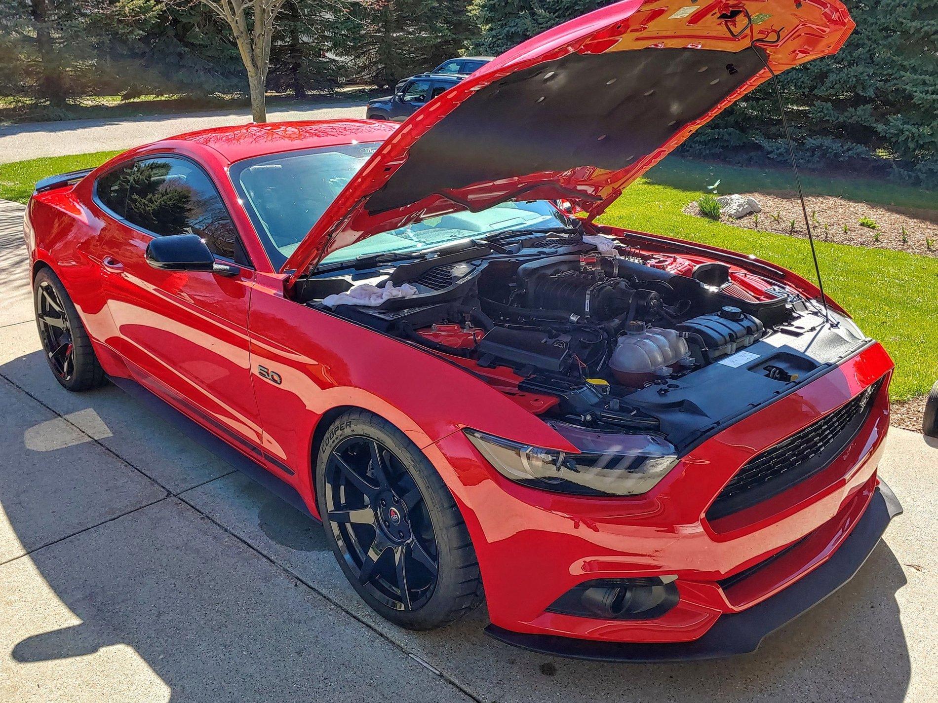 resized 0420191613_HDR.jpg