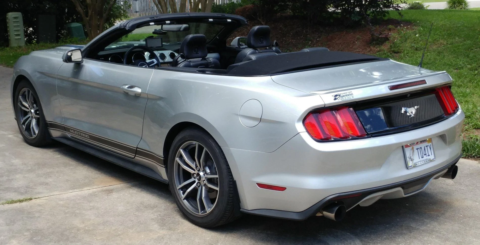 Mustang 042019 g.webp