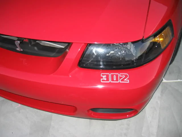 46764399345_d492b6b396_z.webp