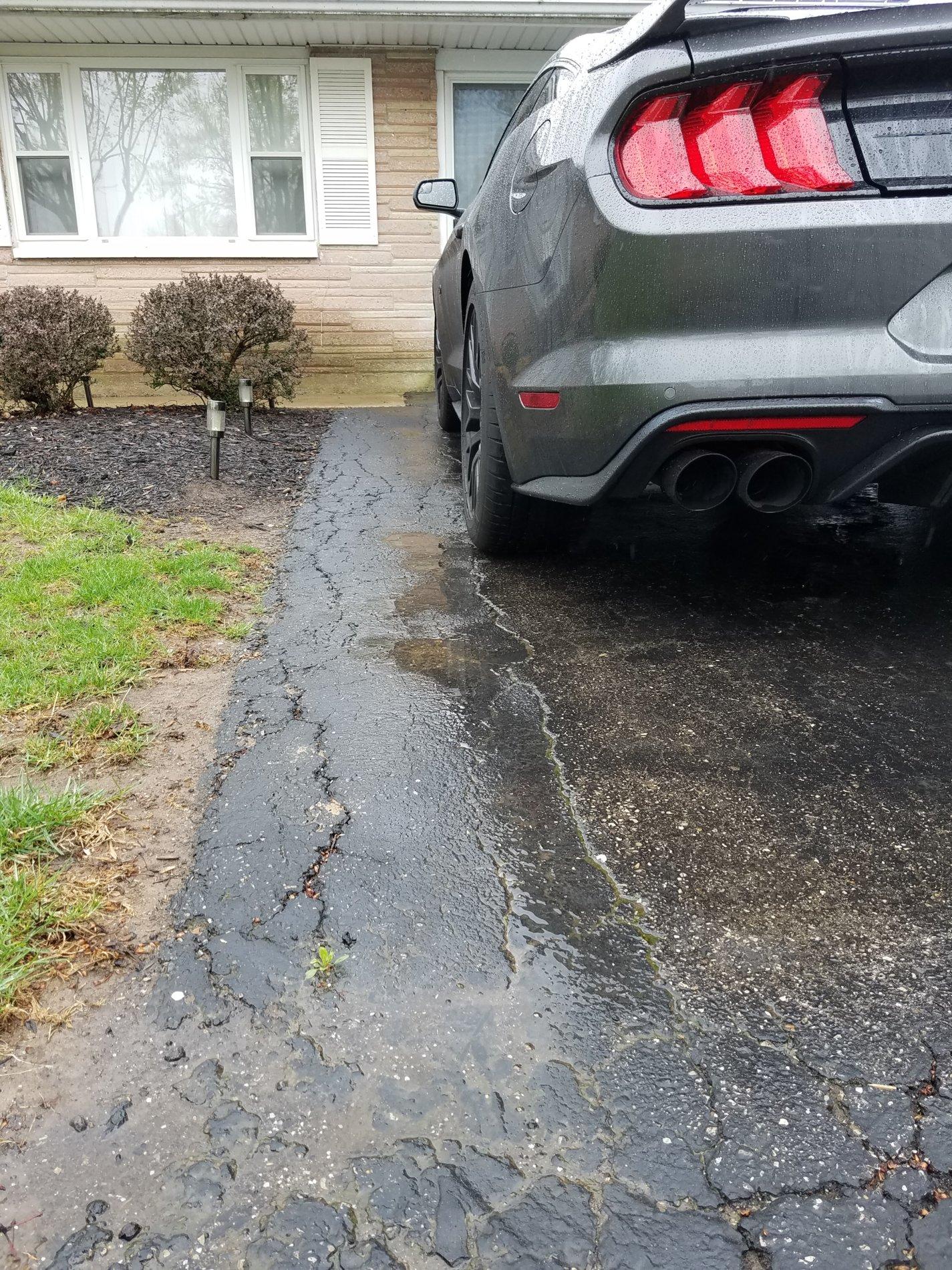 20190419_125453.jpg