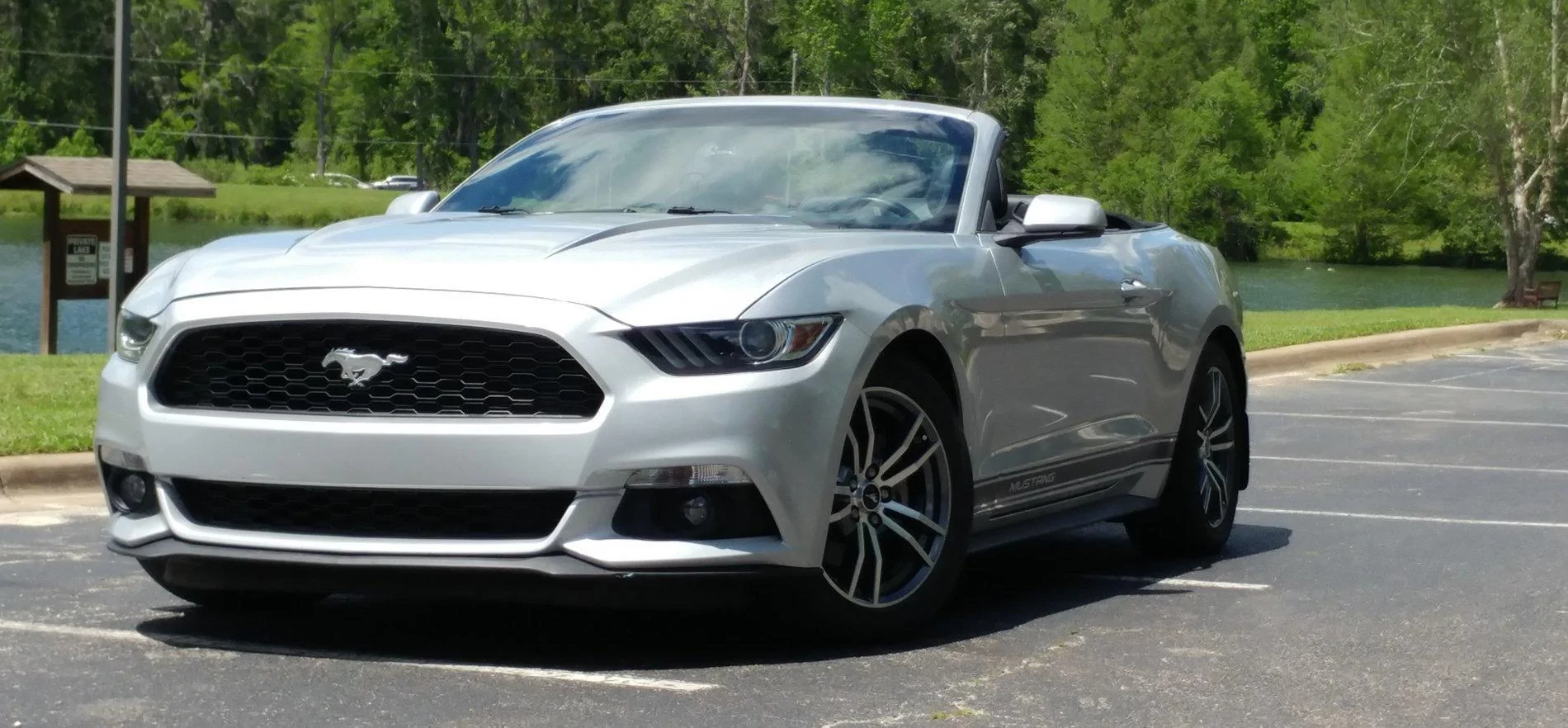 Mustang 042019 b.webp