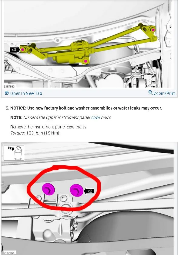 5.webp