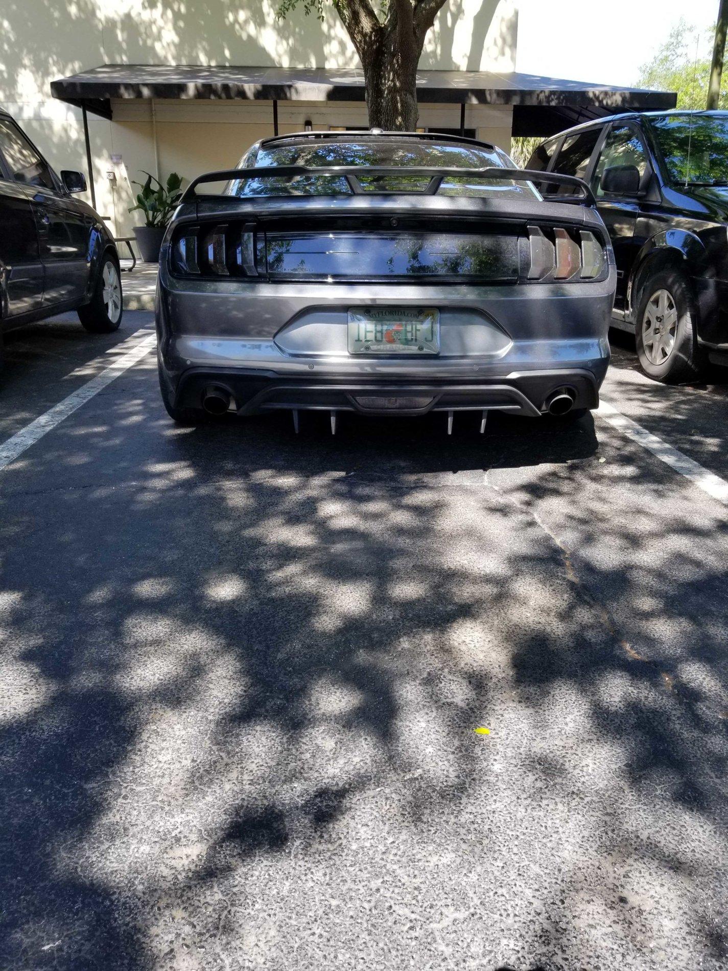 20190424_105719.jpg