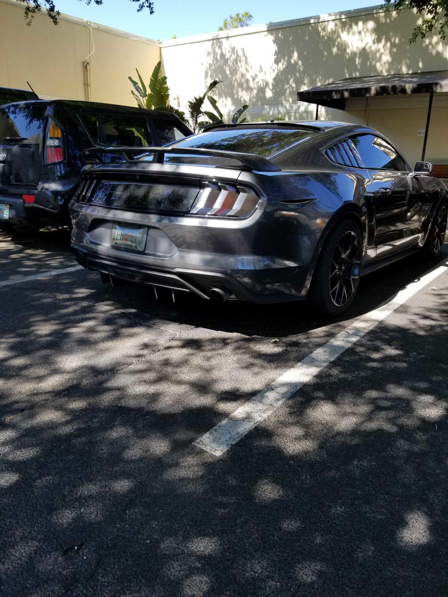 20190424_105728.jpg