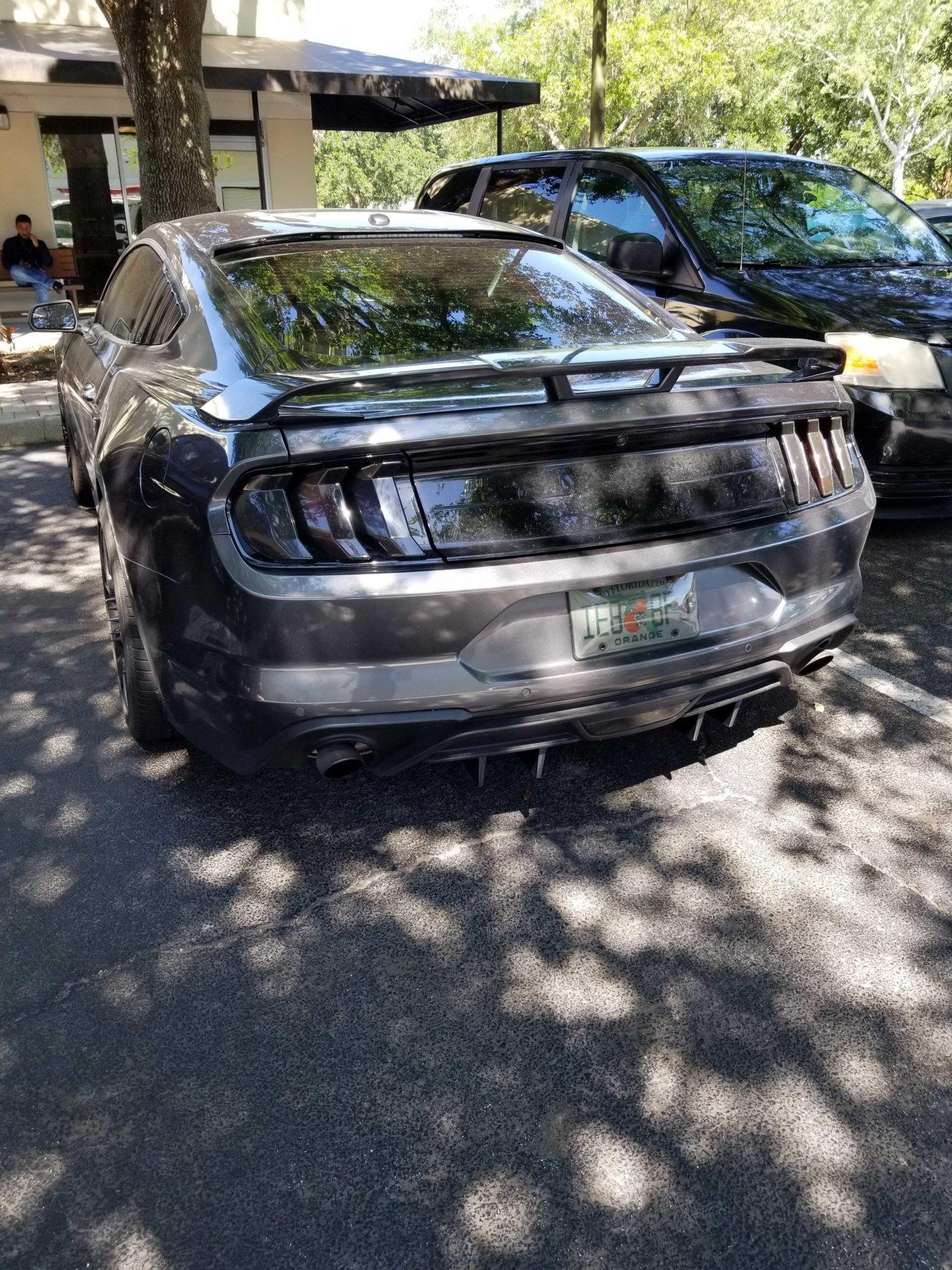 20190424_105707.jpg