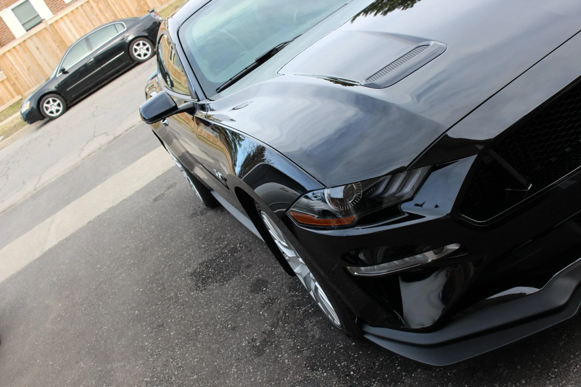 IMG_2867.webp